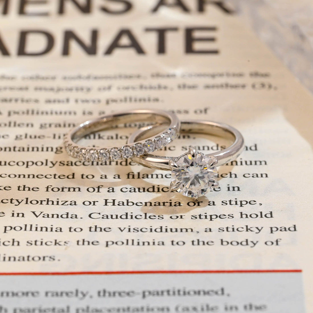 Round Cut Moissanite Classic 6 Prongs Ring/Half-Eternity Band